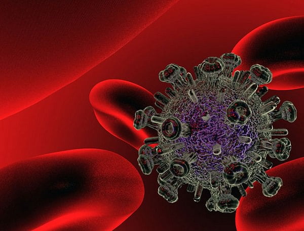 Virus de la inmunodeficiencia Humana. Fuente: CSIC/Flickr