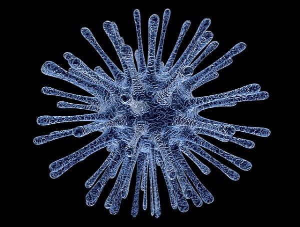 Virus. Fuente: Pixabay
