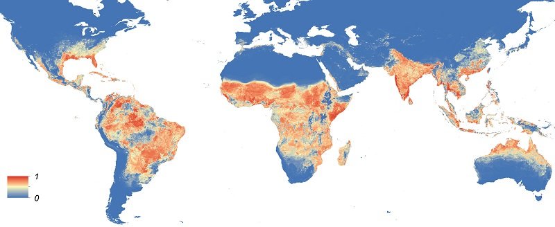 Distribución del vector Aedes aegypti. Messina et al, 2016/eLIFE
