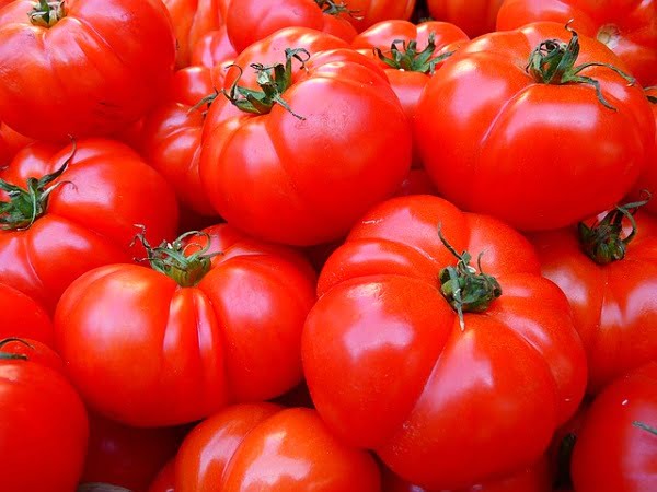 no-guardar-tomates-nevera-2
